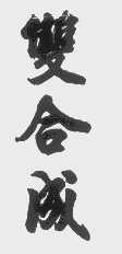 双合成