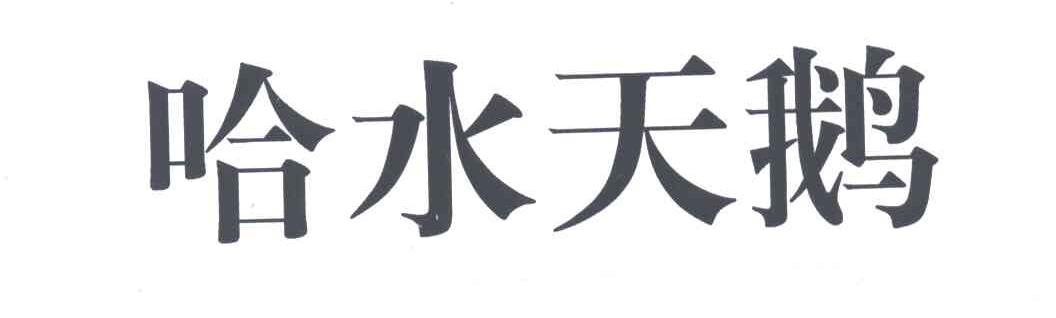 哈水天鹅