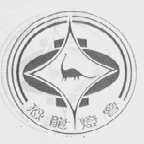恐龙灯会