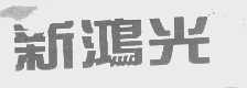 新鸿光