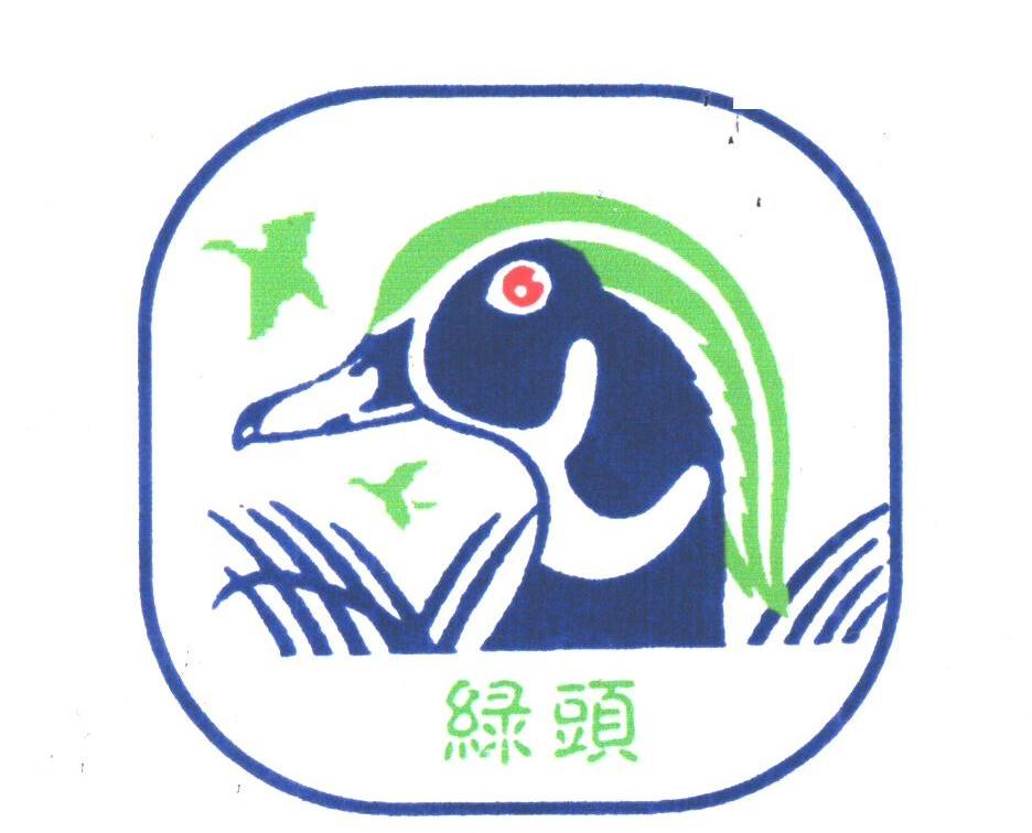 绿头