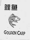 鲤鱼  GOLDEN CARP