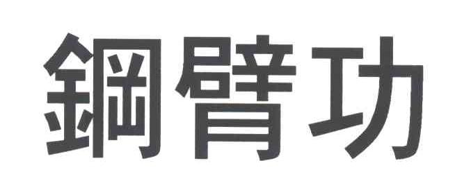 钢臂功