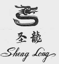 圣龙