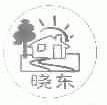晓东
