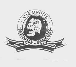 VIGOROUS