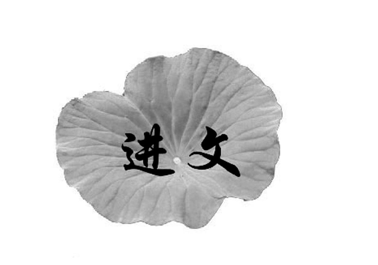 进文