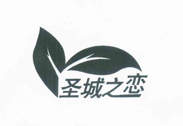 圣城之恋