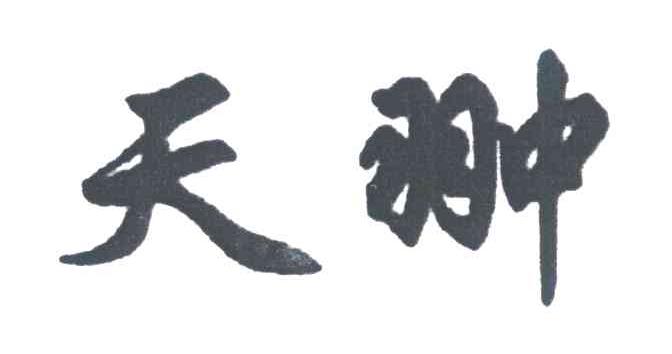 天翀