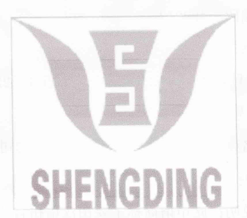 SHENGDING S