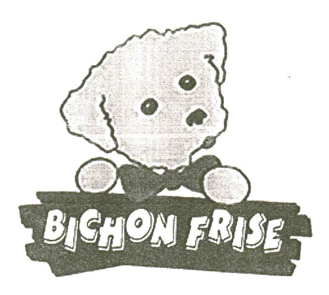 BICHON FRISE