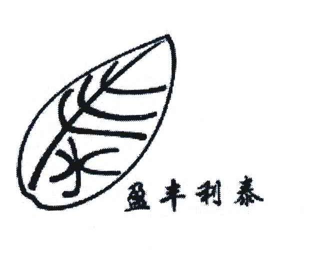 盈丰利泰
