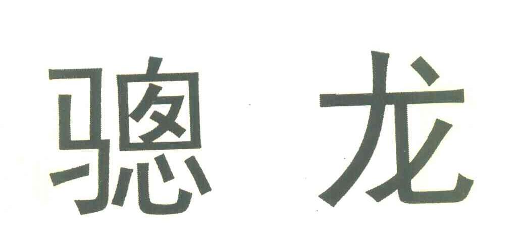 骢龙