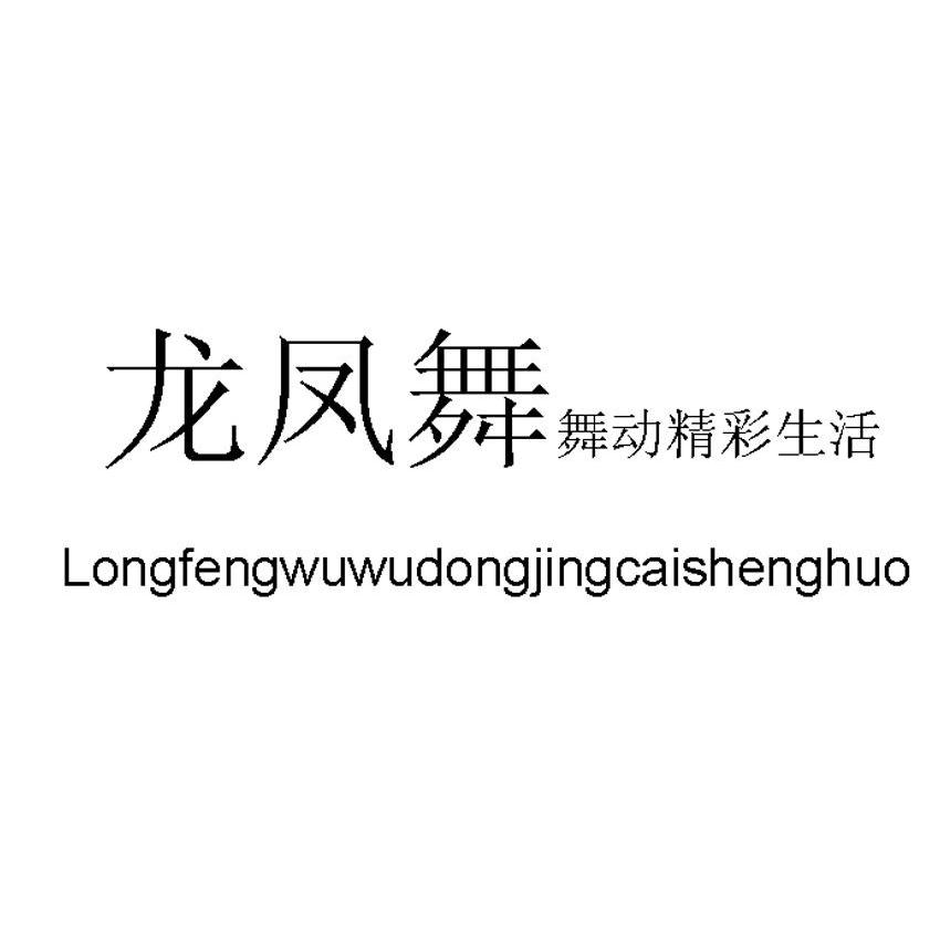 龙凤舞 舞动精彩生活