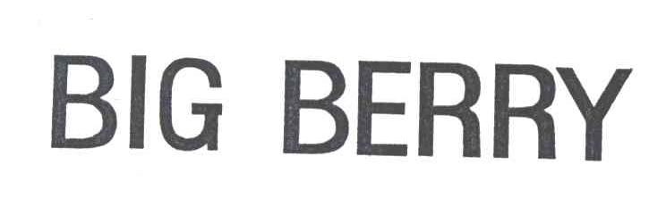 BIG BERRY;