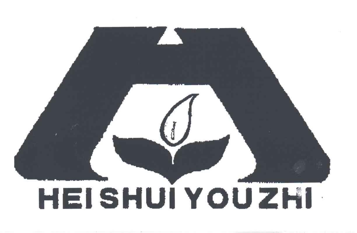 HEISHUIYOUZHI;H