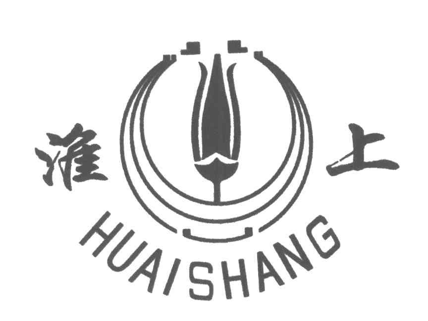 淮上