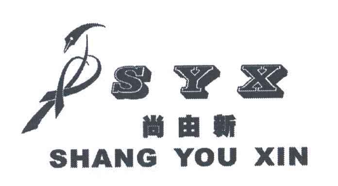 尚由新;SYX