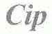 CIP