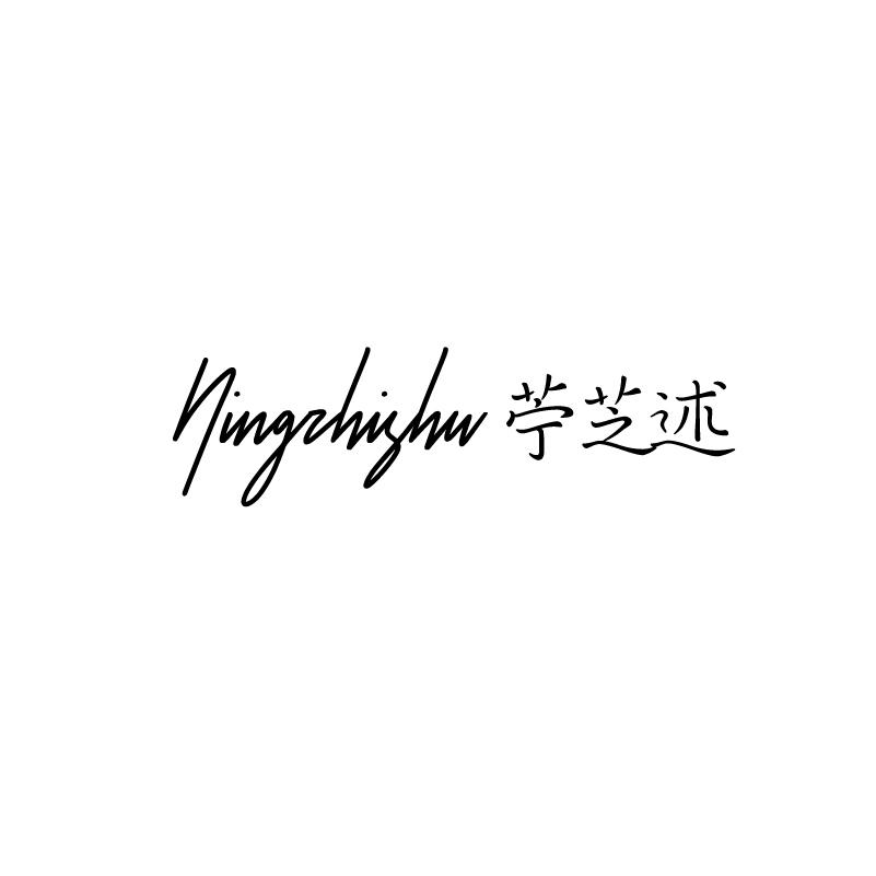 苧芝述