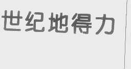 世纪地得力