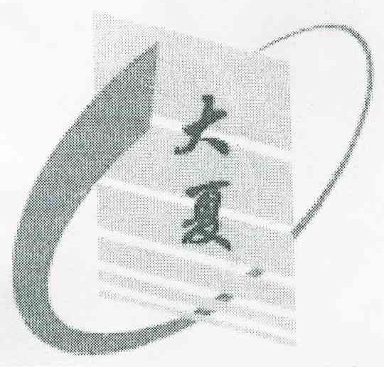 大夏