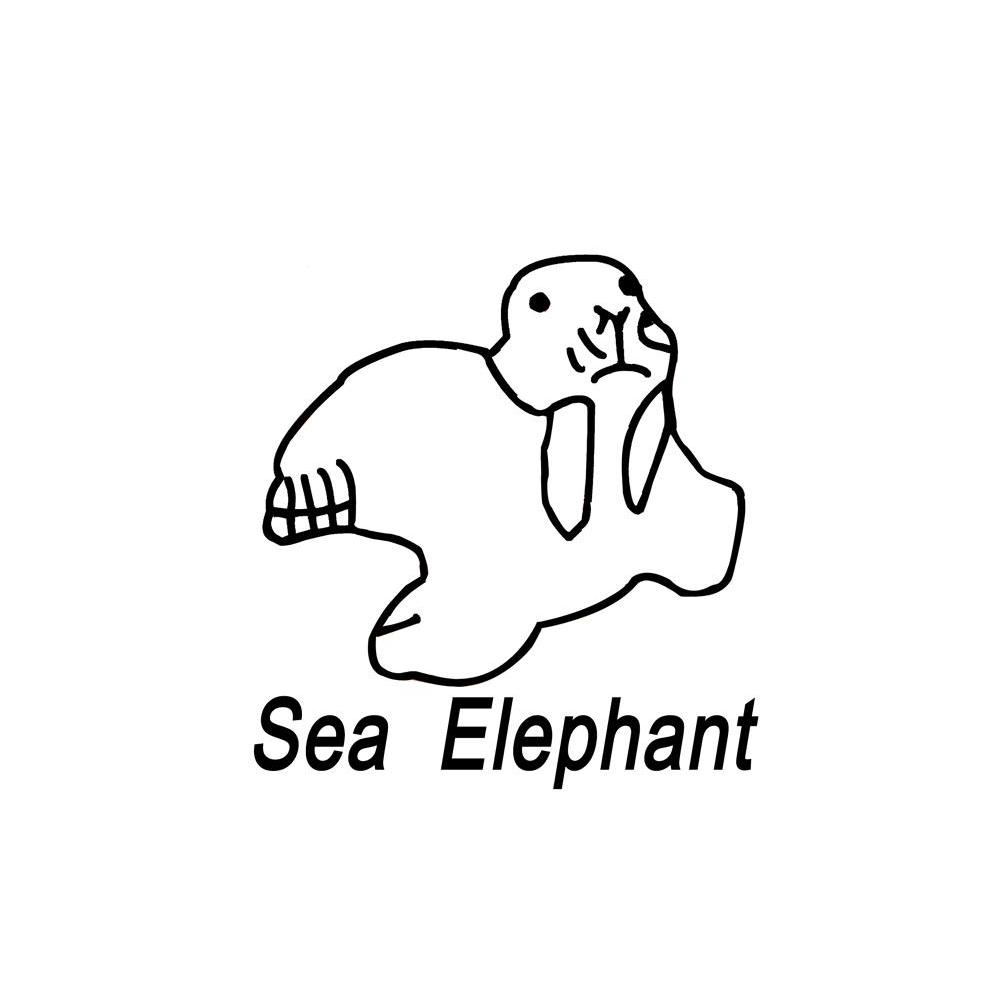 SEA ELEPHANT