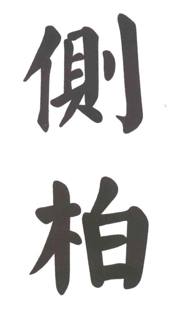 侧柏