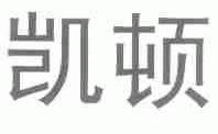 凯顿百森