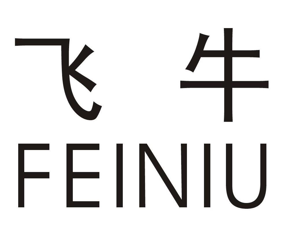 飞牛