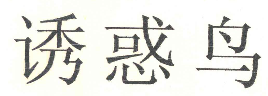 诱惑鸟