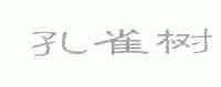 孔雀树