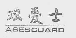 双爱士   ASESGUARD