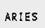ARIES