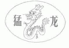 猛龙
