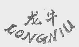 龙牛