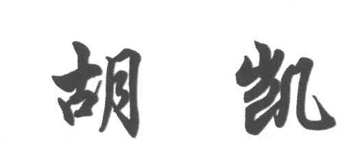 胡凯