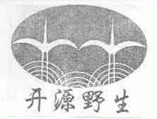 开源