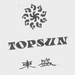 东盛   TOPSUN