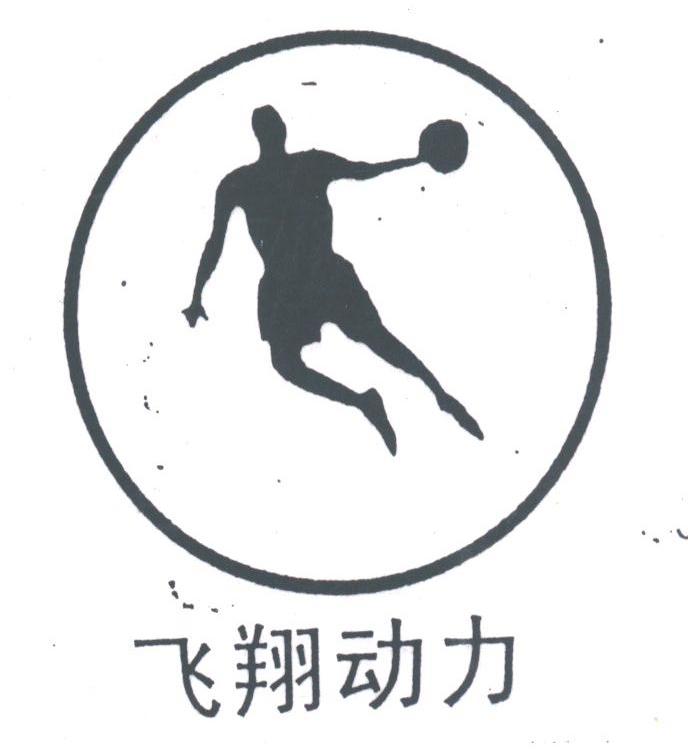 飞翔动力