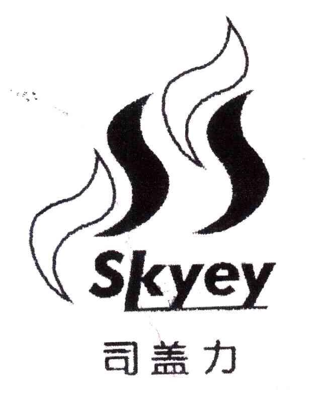 司盖力;SKYEY