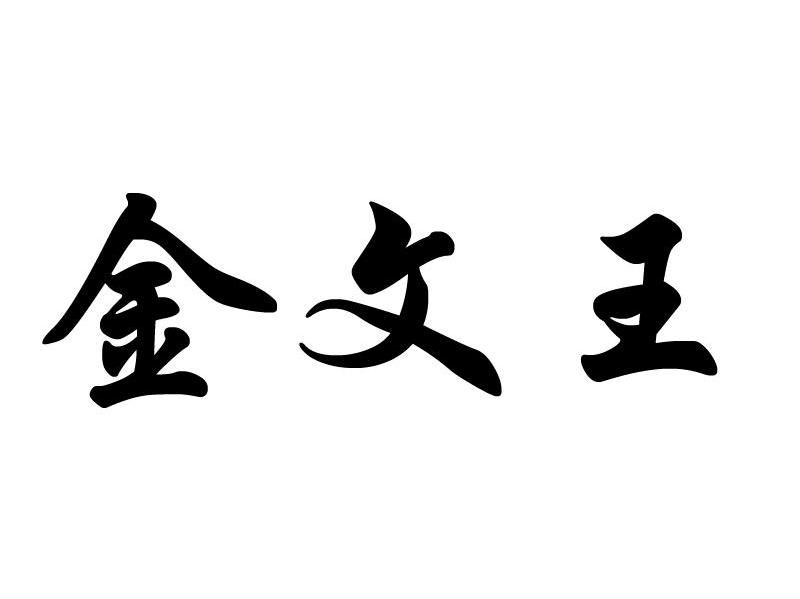 金文王