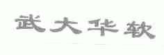武大华软