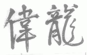 伟龙
