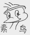 素鸟