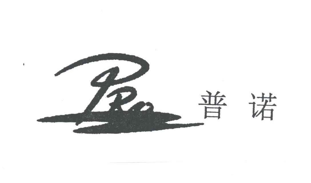 普诺PRO