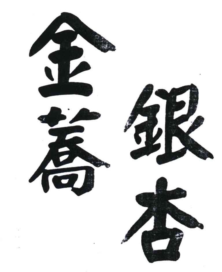 金荞银杏