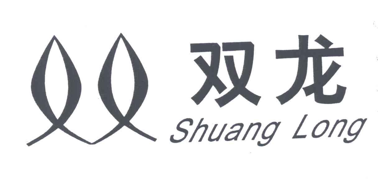 双龙