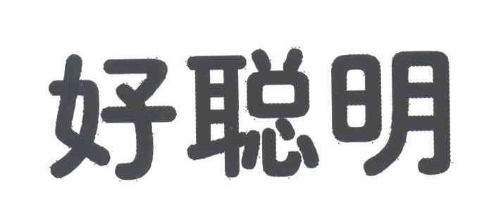 好聪明