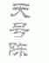 天号陈